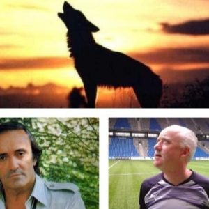La importancia de los lobos y las dinámicas de grupo por Ismael Díaz Galán